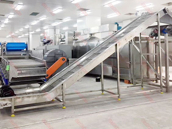 خط إنتاج البطاطس المقلية المجمدة في مصر